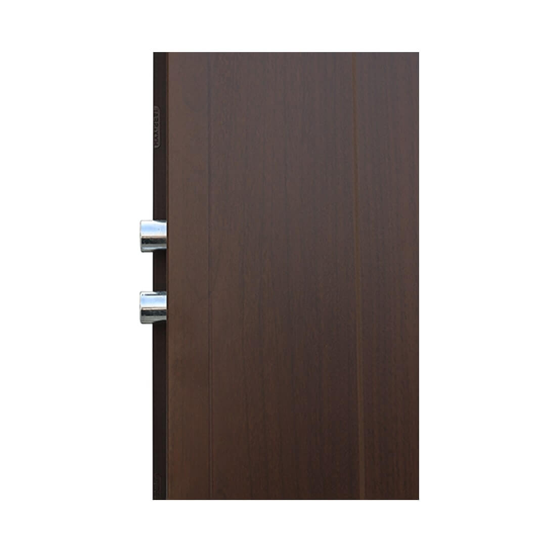 PUERTA DE SEGURIDAD NEIVA - Imagen 4