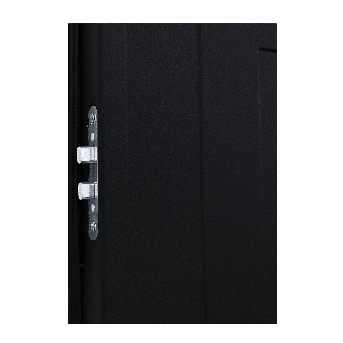 PUERTA DE SEGURIDAD TOLEDO NEGRA - Imagen 4